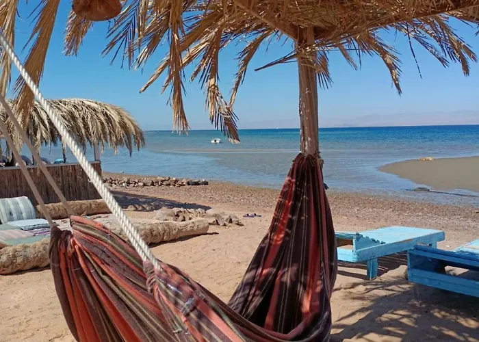 فندق Blue Bird نويبع
