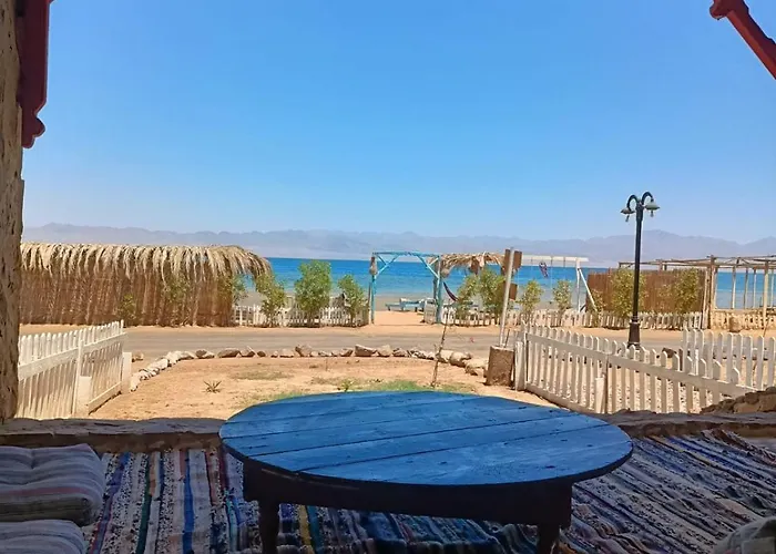 Blue Bird نويبع