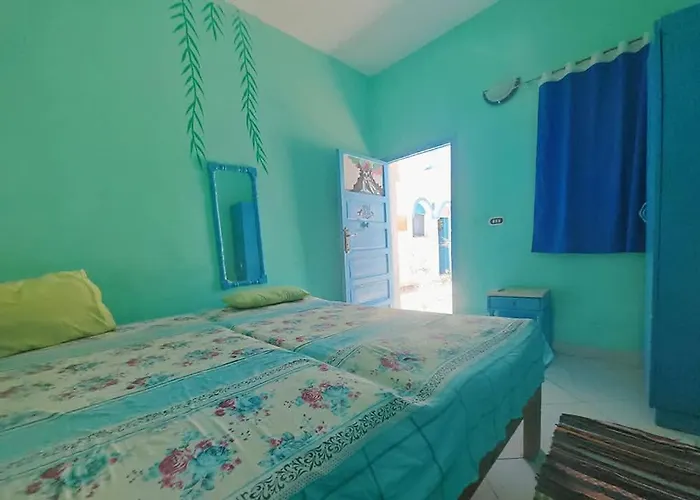 Blue Bird نويبع
