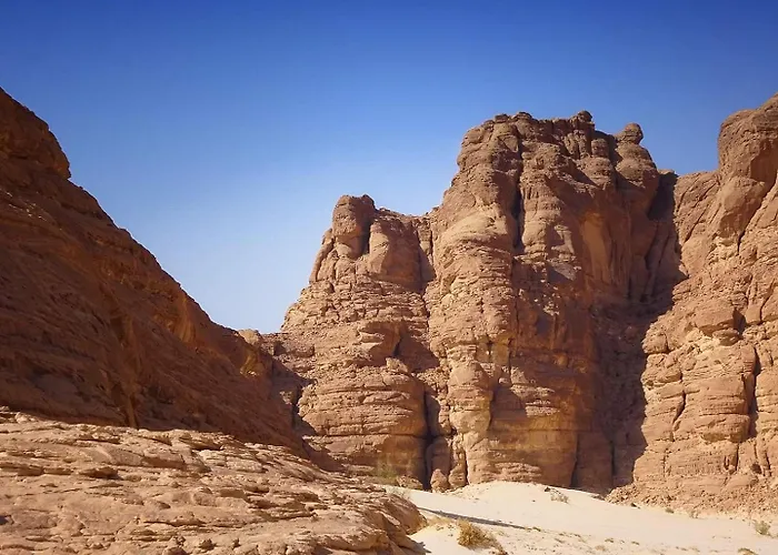فندق Blue Bird