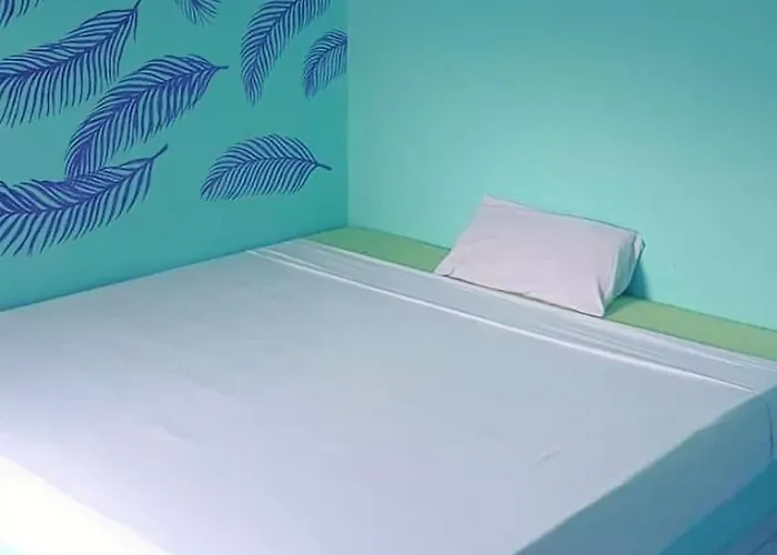 Blue Bird * نويبع
