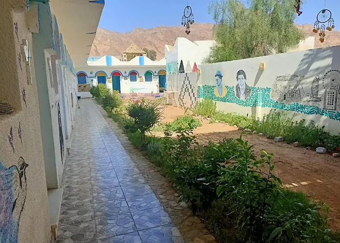 Blue Bird نويبع