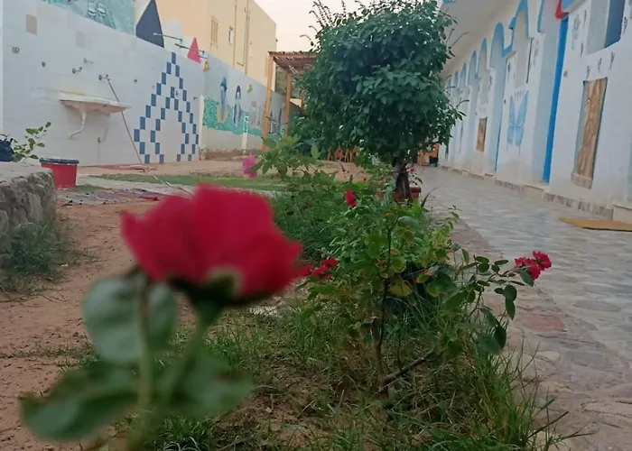 فندق Blue Bird *